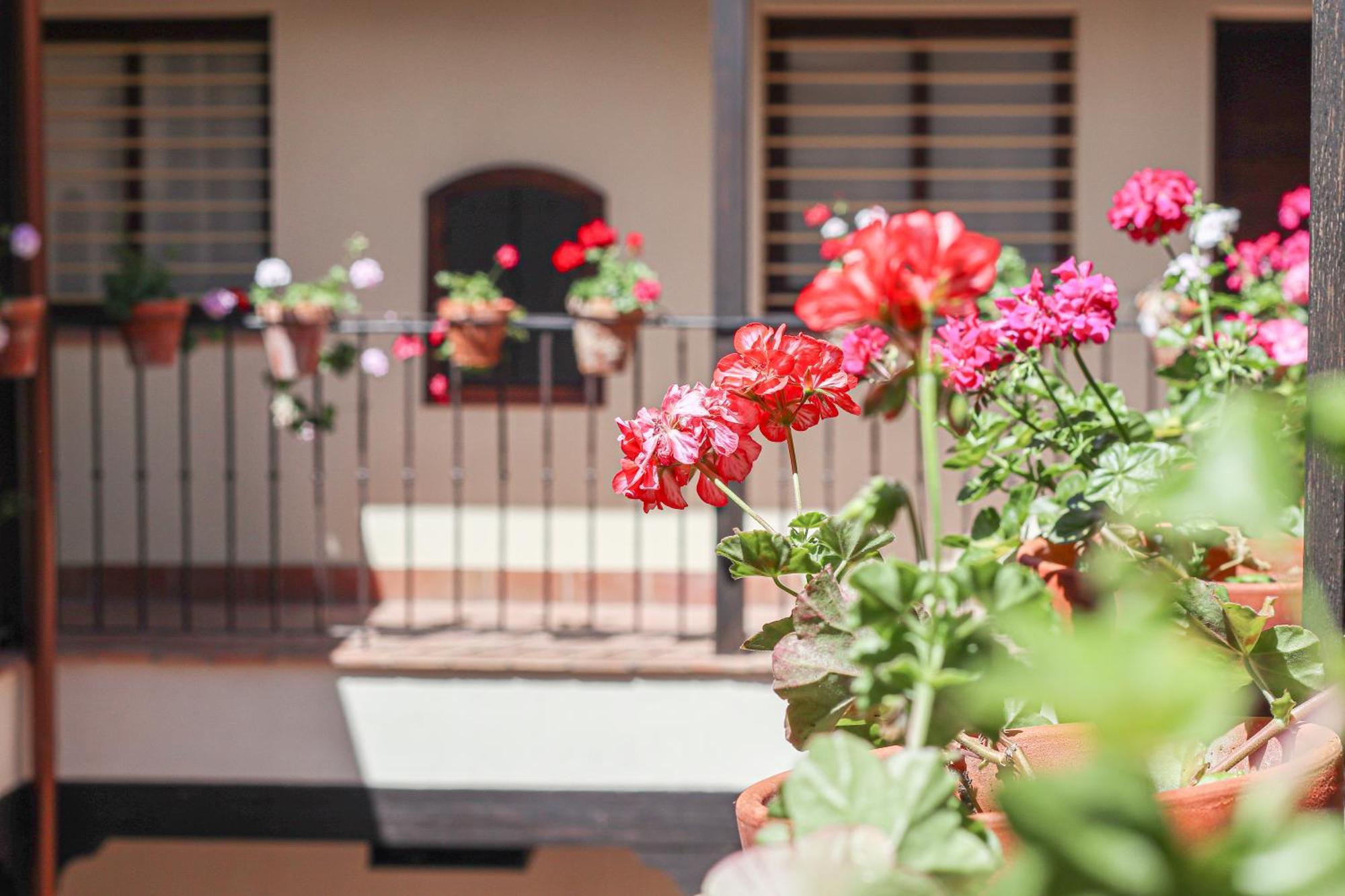 Charming Apt In The Center - 10M Walk Isla Magica Севиля Екстериор снимка